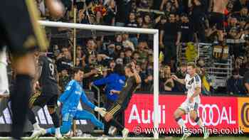 Leo Walta's flying start, recall chances and his Swansea City future