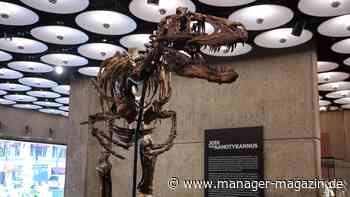 47 Millionen Dollar für ein Dino-Skelett