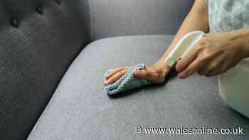 Sofa stains will vanish in minutes with 1 household item – no scrubbing needed