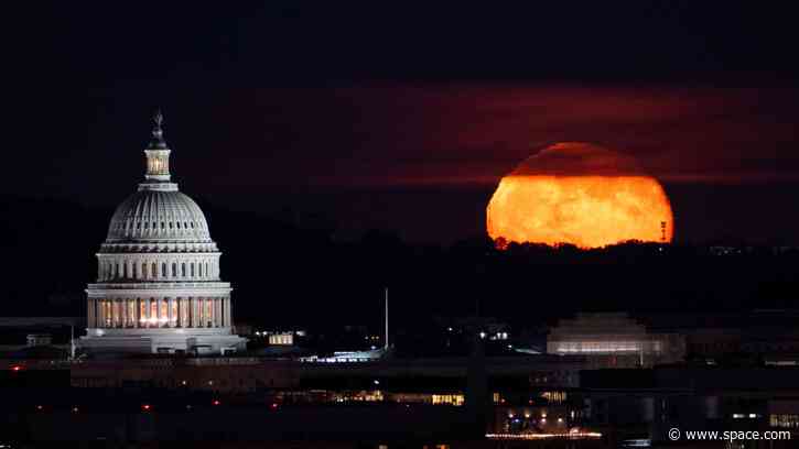 November full moon 2026: When, where and how to see the Beaver Moon