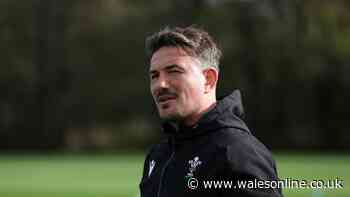 Wales work on 'trendsetting' strategy as new face and legend join forces