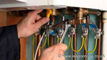 Plumber's easy method to fix a cold towel rail only needs 2 things you already have at home