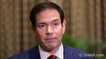 Rubio responds to Machado return: Can’t ‘street-protest your way into a democracy’