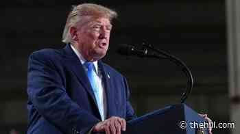 Trump says he will ban the term artificial intelligence
