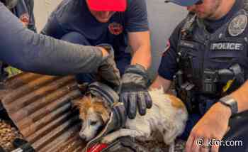 PHOTOS: OKCFD, OU Police rescue dog stuck in pipe