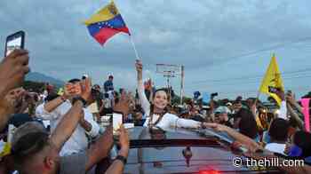 Democrats seize on Machado's return to push for Venezuela elections