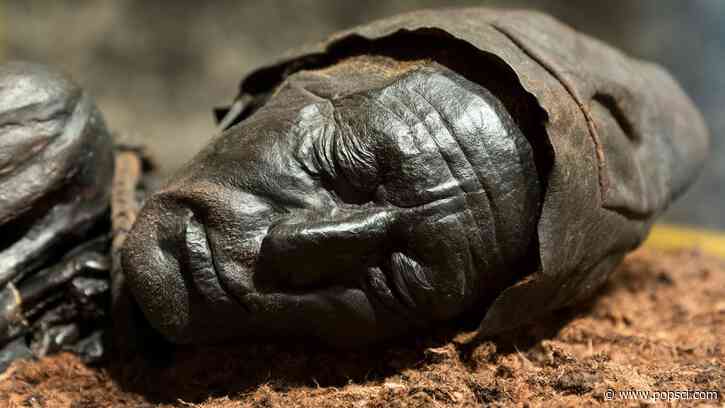 Why are bogs so good at preserving dead bodies?