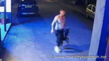 Young cocker spaniel 'scared stiff' after man who tried to put him in bin