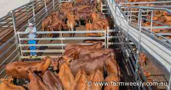 Cattle producers are 'hooking in', driving a price surge in a grass market