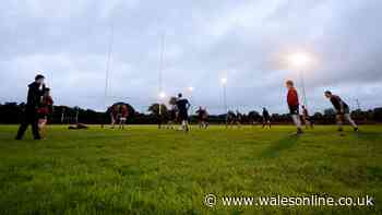 Welsh rugby club on brink of extinction as it makes desperate plea for help