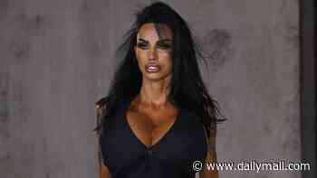 Katie Price 'set to expose ex Lee Andrews in new swindler documentary alongside conman's other victims'