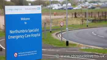 A1 crash at Felton sees one person taken to hospital