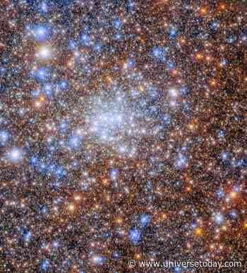Massive Stellar Collisions Could Explain Early Supermassive Black Holes