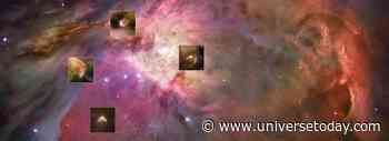 A Merger Solves a Puzzling Paradox in Orion