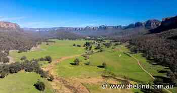 Dramatic sandstone escarpments, towering rock formations frame Emu Vale's productive cattle country | Video