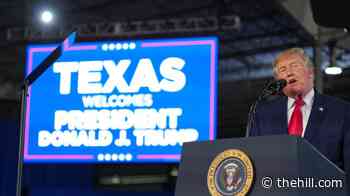 Live updates: Trump holds second Texas rally in one day; Talarico plans dueling event