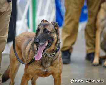 Allen County Sheriff's Department K9 Django reassigned to new handler, division