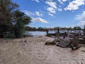 Four Corners horse rescue helps save 11 horses trapped by Shiprock flooding