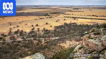 Federal government invests $180m in rare earths mine in western Victoria