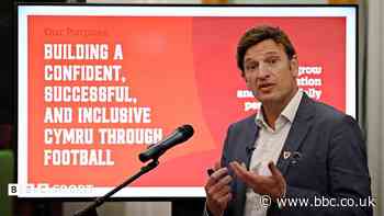 FAW sets ambitious 10-year plan but seeks more money