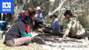 Archaeology students work beside traditional owners at ancient site