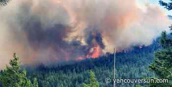 Opinion: Animals are hidden victims of B.C.’s wildfire season