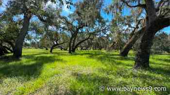What Manatee County’s land preservation tax could mean for homeowners