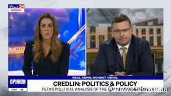 ‘Hijacking my show’: Credlin, Clennell in fiery on-air clash over One Nation comment