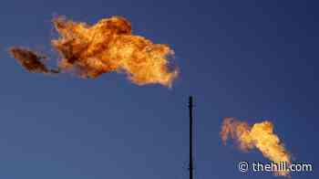 Trump announces proposal to loosen methane rules for oil and gas production