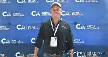 Have we gone too far on data? A warning to cattle producers to rethink selections
