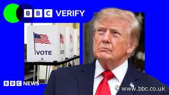 Trump says US voter fraud is 'rampant' - evidence suggests it is extremely rare