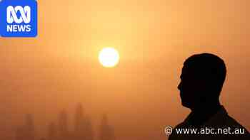 Global study counts almost 3 million climate change-related deaths