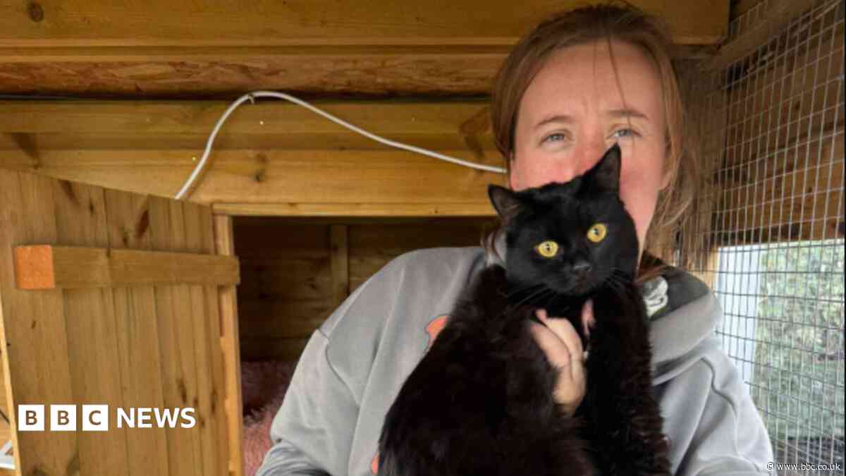 Cat survives after month stuck in dead man's home