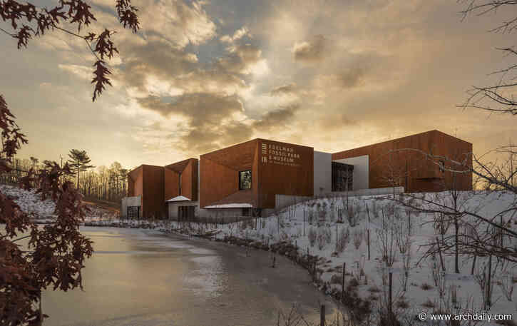What is Modified Wood? How Technology Is Expanding What Wood Can Do