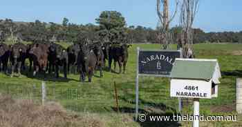 'Good pre-interest': negotiations continue on noted cattle buyer's Coonabarabran grazing property