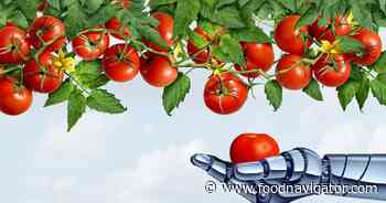 Japan-Singapore MOU: Targeting climate-resilient food supplies