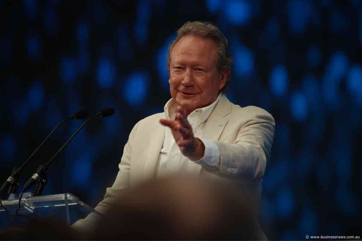Andrew Forrest calls out overseas ‘fruitcakes’ for rising costs