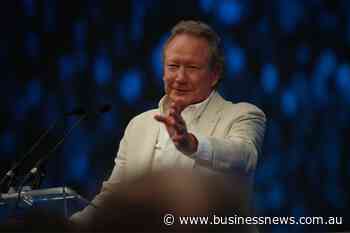 Andrew Forrest calls out overseas ‘fruitcakes’ for rising costs