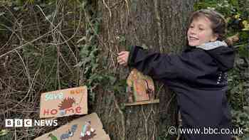 Special memories will be lost if orchard axed - girl