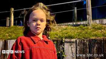 Girl asks council to 'fight' in data centre row