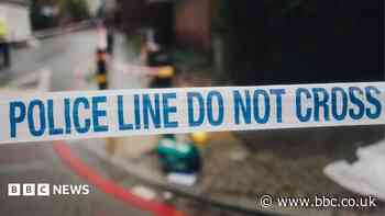 Arrests as woman dies after car hit telegraph pole