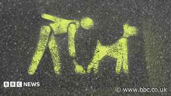 Dog fouling fines swell council coffers by £5k