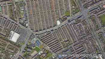 Armed police descend on part of Liverpool after man seen with meat cleaver