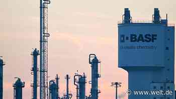 Nahost-Konflikt treibt Nachfrage – BASF steigert Ergebnis um 15 Prozent