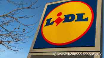 Lidl's £9 new autumn jumper with 'superior fit' looks like £145 and £104 high-end versions