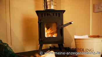 Brennholz-Check: Diese Holzart hält die Glut am längsten