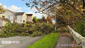 In pictures: Storm Boelo leaves a trail of destruction across Scotland