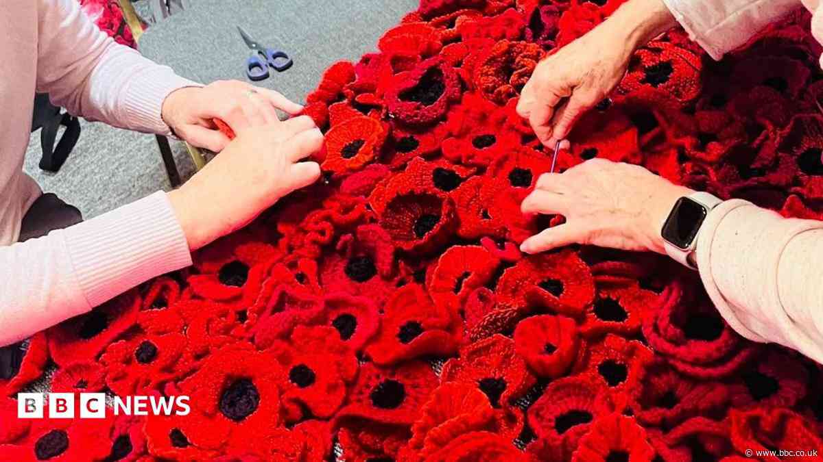 Castle display to feature 28,000 handmade poppies