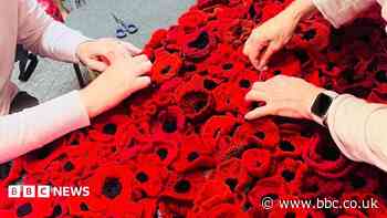 Castle display to feature 28,000 handmade poppies