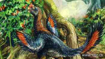 Meet the 'hell chicken,' a feisty little dinosaur who feasted on fruit